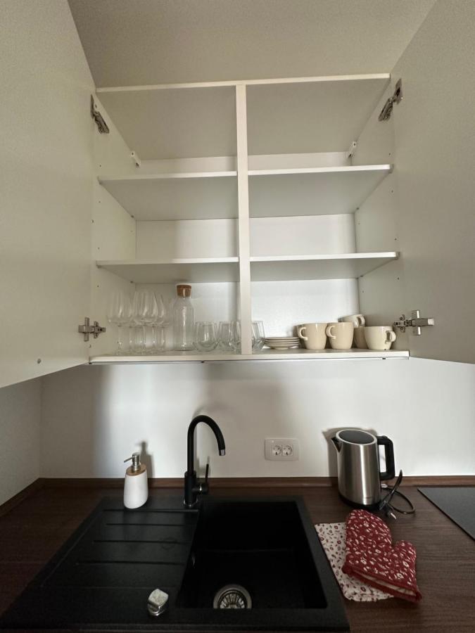 Granny'S Vintage Chic Apartment Maribor Luaran gambar